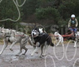 aviemoreshcgb075 aviemoreshcgb075