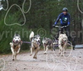 aviemoreshcgb076 aviemoreshcgb076