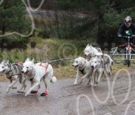 aviemoreshcgb088 aviemoreshcgb088