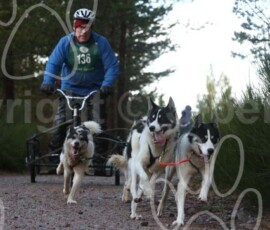 aviemoreshcgb139 aviemoreshcgb139