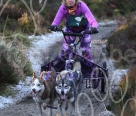 aviemoreshcgb207 aviemoreshcgb207