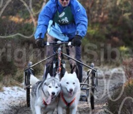 aviemoreshcgb213 aviemoreshcgb213