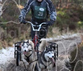 aviemoreshcgb219 aviemoreshcgb219
