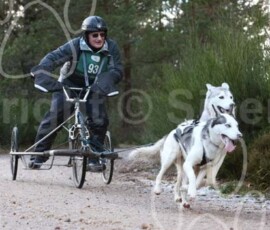aviemoreshcgb242 aviemoreshcgb242