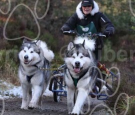 aviemoreshcgb246 aviemoreshcgb246