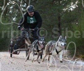 aviemoreshcgb249 aviemoreshcgb249