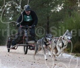 aviemoreshcgb250 aviemoreshcgb250