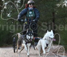 aviemoreshcgb251 aviemoreshcgb251
