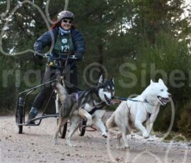 aviemoreshcgb252 aviemoreshcgb252
