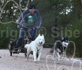 aviemoreshcgb264 aviemoreshcgb264