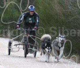 aviemoreshcgb272 aviemoreshcgb272