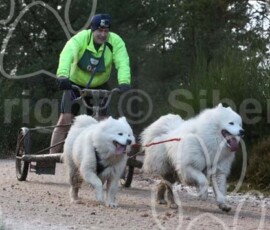 aviemoreshcgb276 aviemoreshcgb276