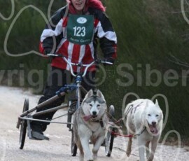 aviemoreshcgb278 aviemoreshcgb278