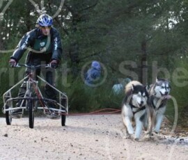 aviemoreshcgb280 aviemoreshcgb280