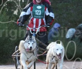 aviemoreshcgb282 aviemoreshcgb282