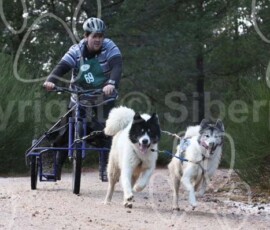 aviemoreshcgb285 aviemoreshcgb285