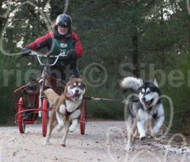 aviemoreshcgb280 aviemoreshcgb280