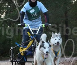 aviemoreshcgb292 aviemoreshcgb292