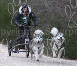 aviemoreshcgb296 aviemoreshcgb296