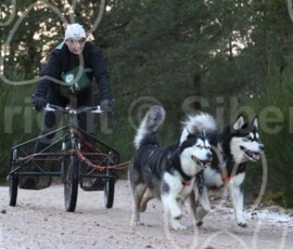 aviemoreshcgb313 aviemoreshcgb313