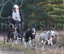 bshraelvdon020 bshraelvdon020