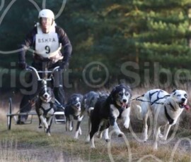 bshraelvdon021 bshraelvdon021