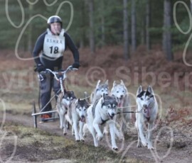 bshraelvdon047 bshraelvdon047