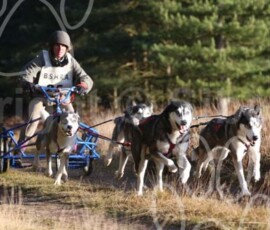 bshraelvdon054 bshraelvdon054