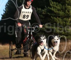 bshraelvdon095 bshraelvdon095