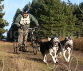 bshraelvdon099 bshraelvdon099