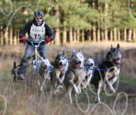 bshraelvdon146 bshraelvdon146
