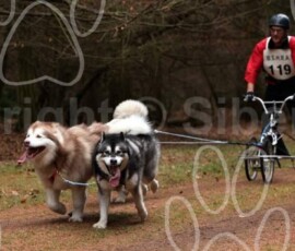 elveden007