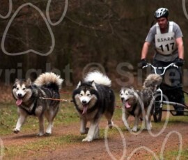 elveden010