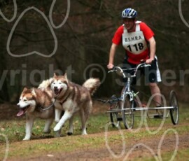 elveden011