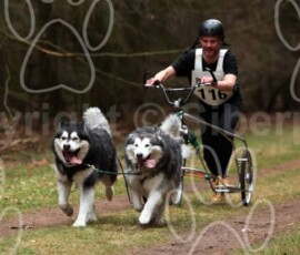 elveden012