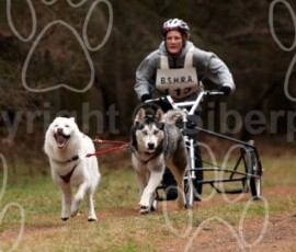 elveden013