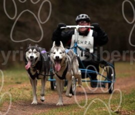 elveden016