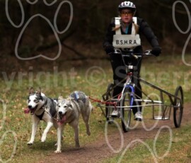 elveden018