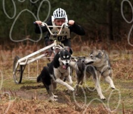 elveden024