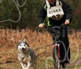 elveden027