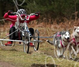 elveden029