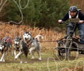 elveden041