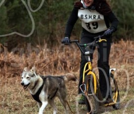 elveden053