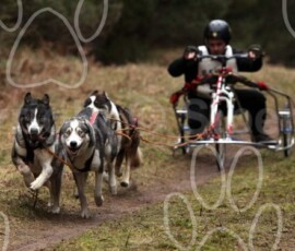 elveden072