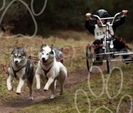 elveden073
