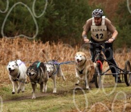 elveden077