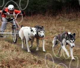 elveden092