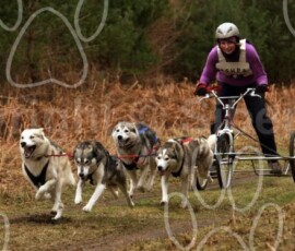 elveden108