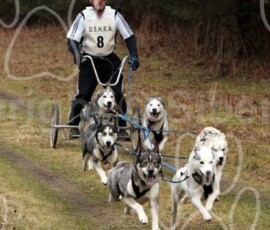 elveden200