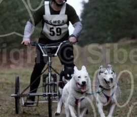elveden351